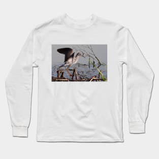 Shorebird Taking Flight Long Sleeve T-Shirt